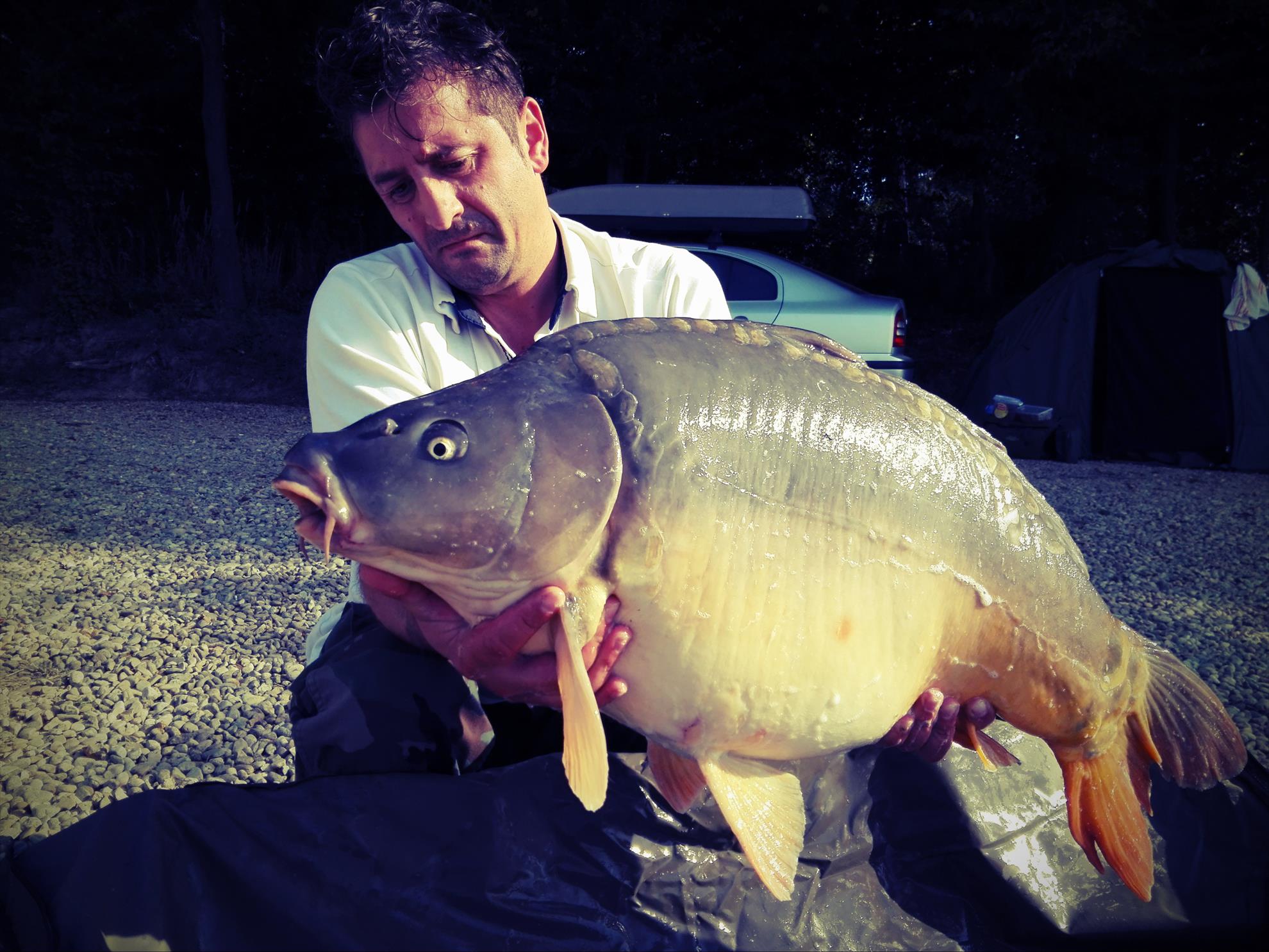 1-5 Octombrie Cetariu - img20161002151900.jpg